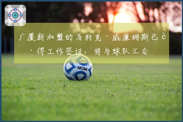 广厦新加盟的马利克·威廉姆斯已获得工作签证，将与球队汇合