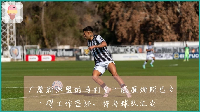 广厦新加盟的马利克·威廉姆斯已获得工作签证，将与球队汇合